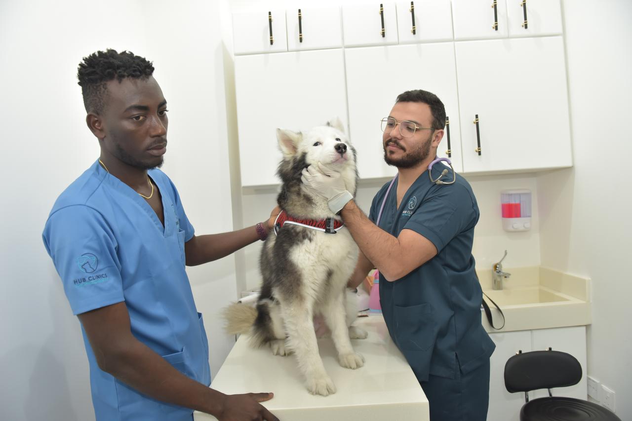 WhatsApp Image 2025-10-23 at 15.55.15 (2)