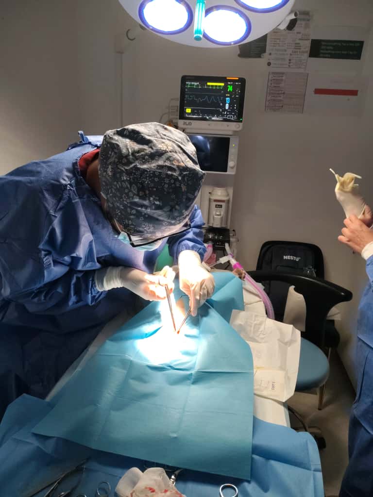 WhatsApp Image 2025-10-23 at 15.55.15 (5)